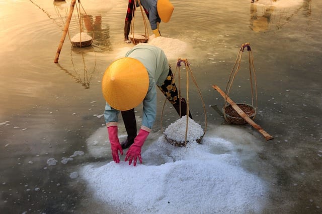salt 3022093 640